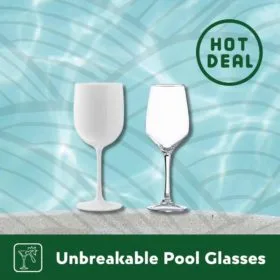 Unbreakable Pool Glasses