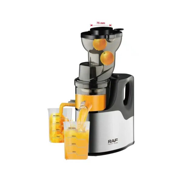 Semi-professional low speed cold press juicer, 150 W