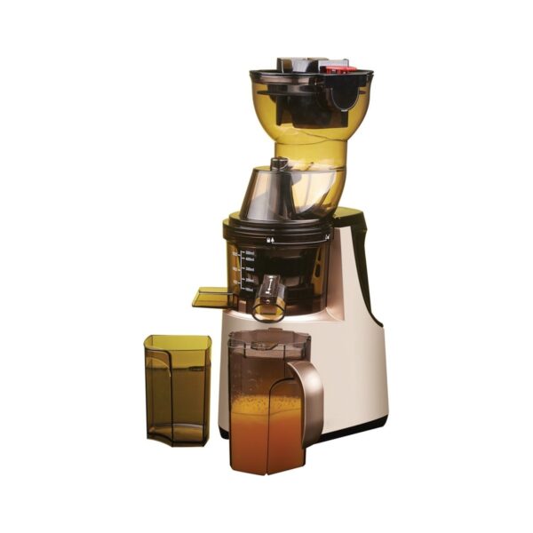 Professional slow cold press juicer, 250 W