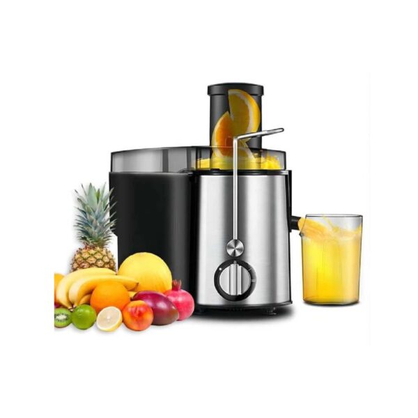 Stainless steel fruit and vegetable juicer, 350 W