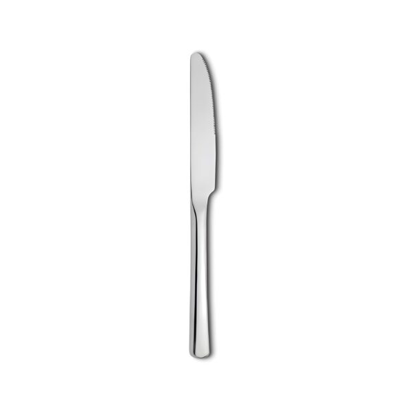 Aristotel stainless steel dinner knife, 4 mm thick