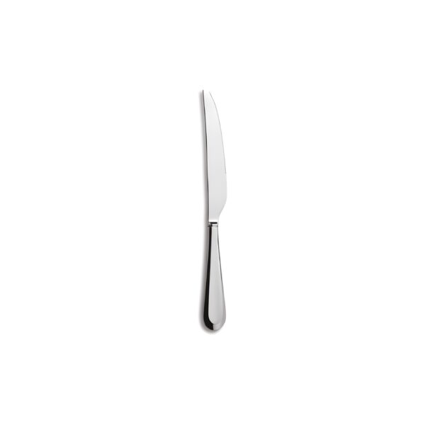 Comas Maranta stainless steel dining knife, 23.8 cm long