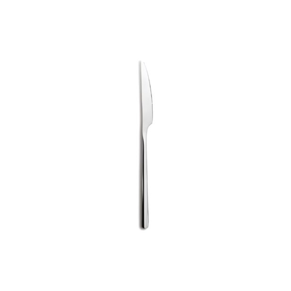 Comas Canada stainless steel dining knife, 23.3 cm long, 4 mm thick