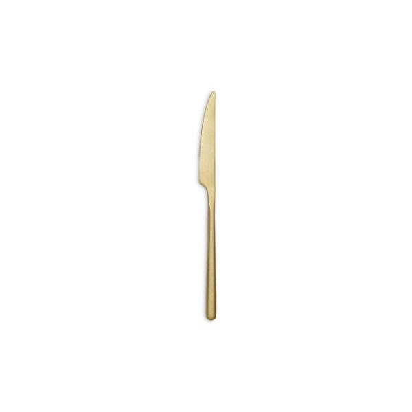 Comas Canada Vintage Champagne dinner knife, 18/0 stainless steel, 4 mm thick