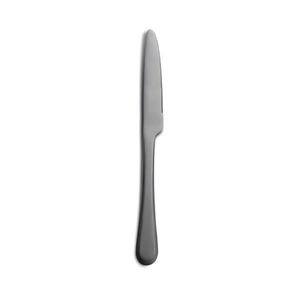 Comas Maranta Vintage dinner knife, 18/10 stainless steel, 4.5 mm thick