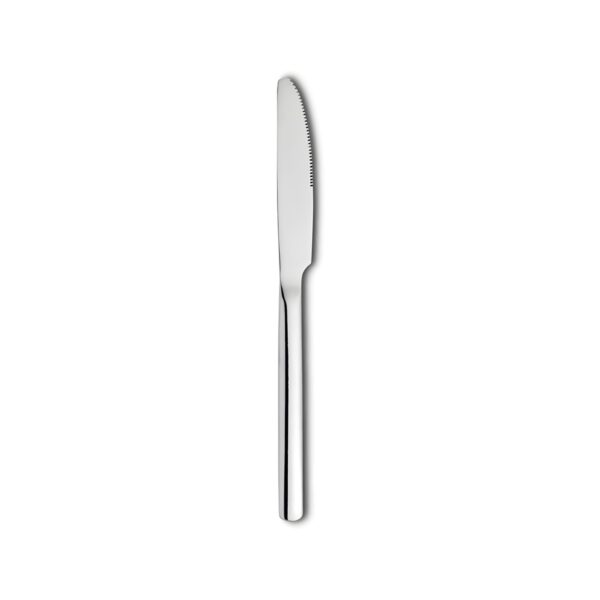 Aristotel 18/0 stainless steel fruit knife, 3.5 mm thick