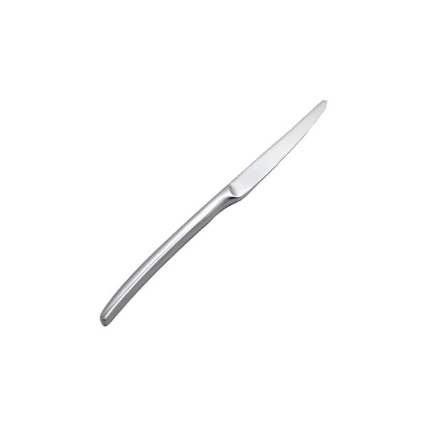 Alina stainless steel fruit knife