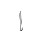 Banquet stainless steel fruit knife, 20.2 cm long, 4 mm thick