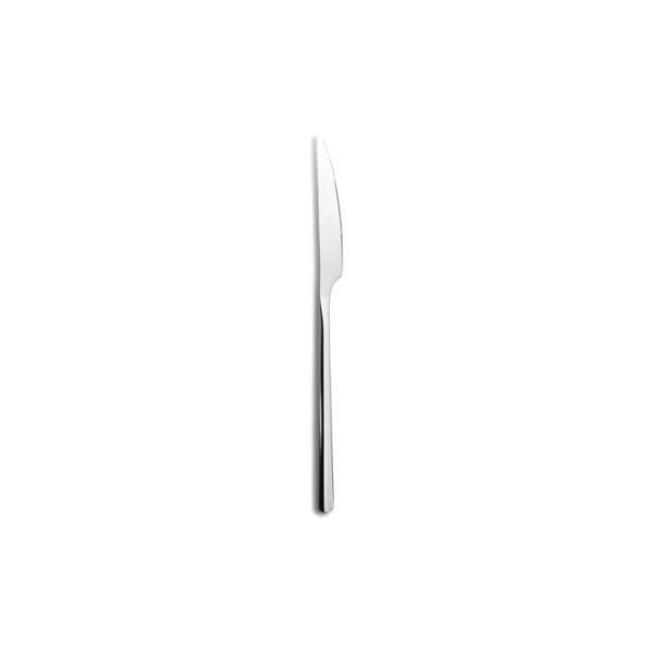 Comas Canada stainless steel fruit knife, 20.9 cm long, 3.5 mm thick