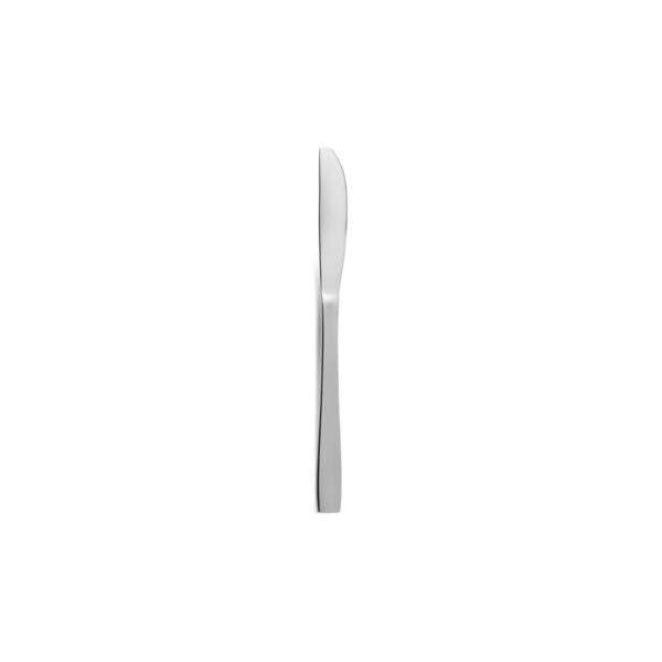 Comas Hotel stainless steel fruit knife, 2.5 mm thick