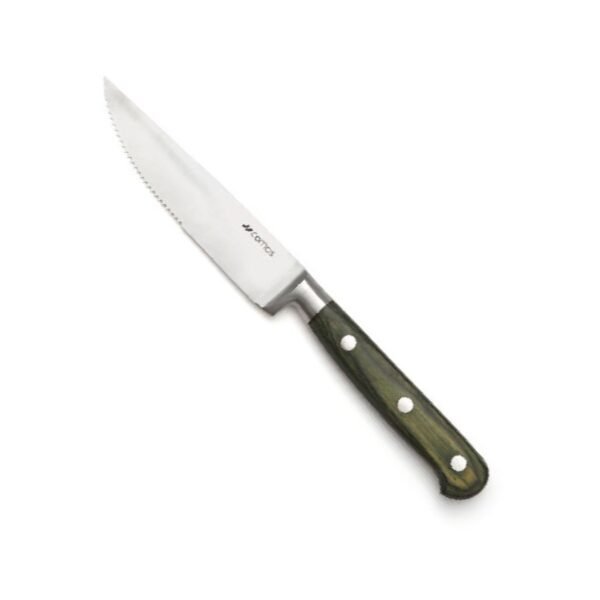 Comas 18/10 stainless steel steak knife with Pakka Green wooden handle