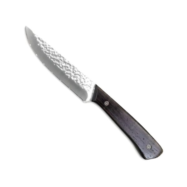 Comas 18/10 stainless steel steak knife with Wenge wooden handle
