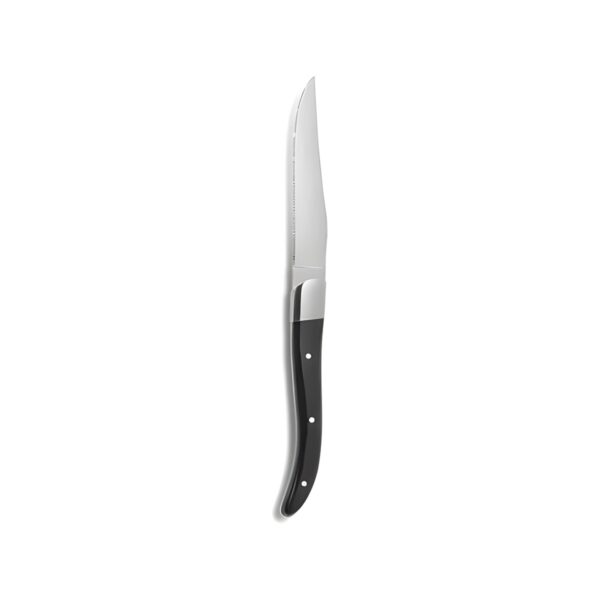 Comas Acr steak knife with black handle, 18/10 stainless steel, 22.5 cm