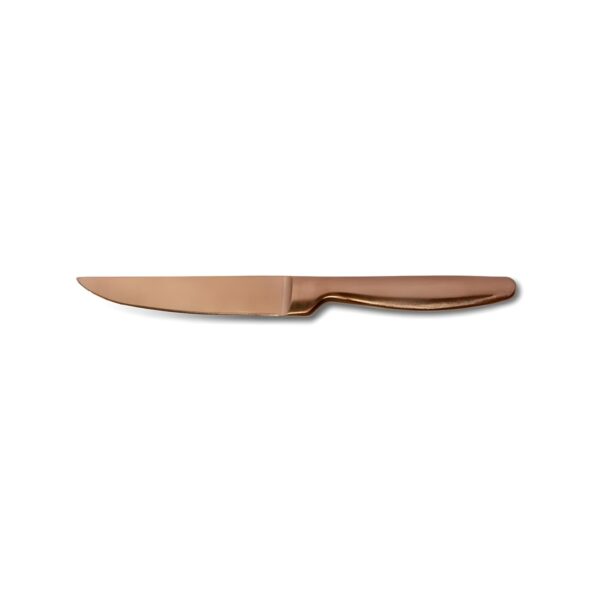 Comas Boj Copper steak knife, copper-finish 18/10 stainless steel, 22.1 cm