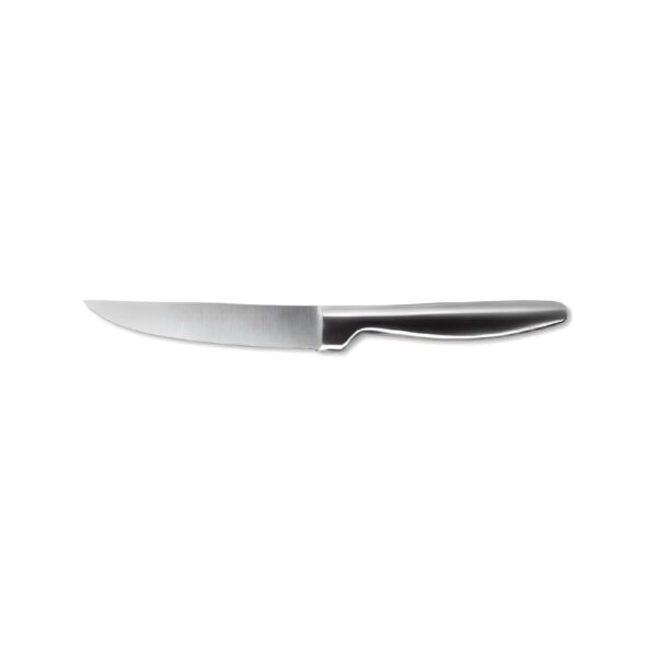 Comas Boj Satin steak knife, 18/10 stainless steel, 22.1 cm