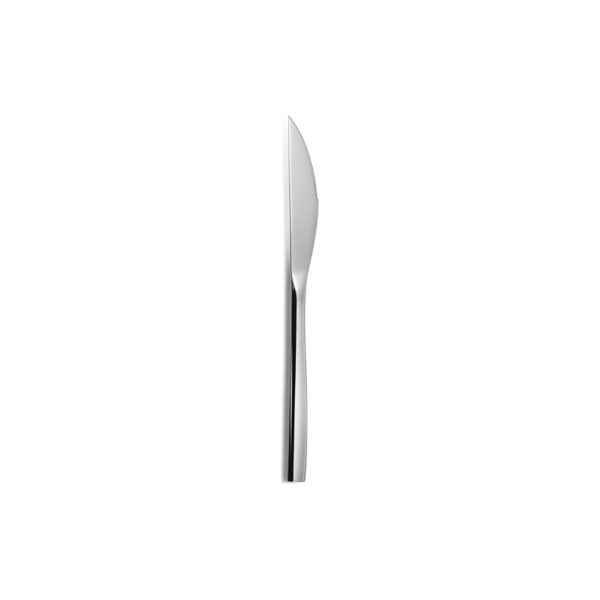 Comas Ibiza/Barcelona steak knife, 18/10 stainless steel, 4.5 mm thick