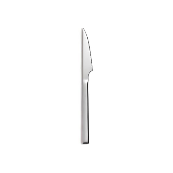 Comas Hotel/Alida stainless steel steak knife, 3 mm thick