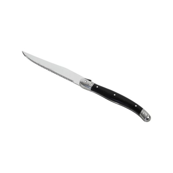 Espiel steak knife, 18/0 stainless steel with black handle