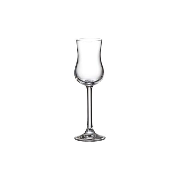 Κρυστάλλινο ποτήρι γκράπα Crystal Bohemia Colibri, 8,5 cl