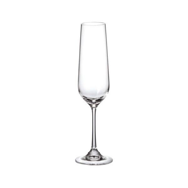 Crystal Bohemia Strix crystal champagne glass, 20 cl