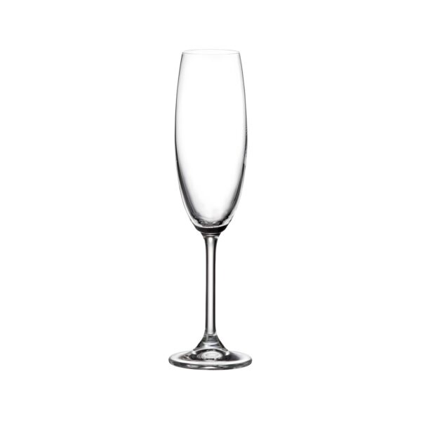 Crystal Bohemia Colibri crystal champagne glass, 22 cl