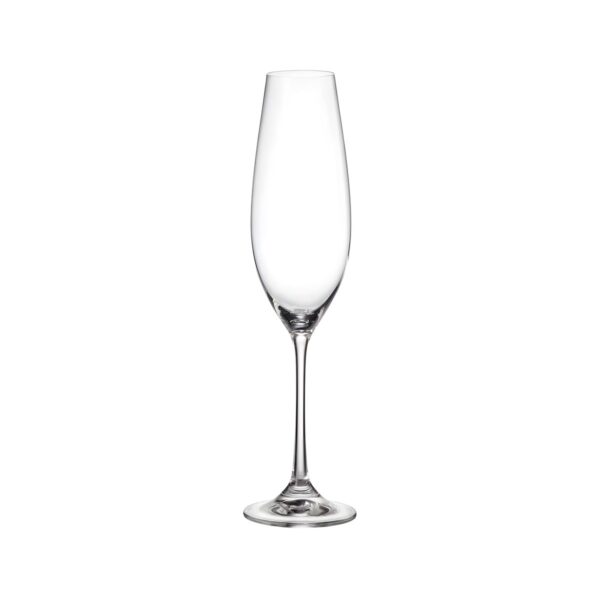 Crystal Bohemia Columba crystal champagne glass, 26 cl