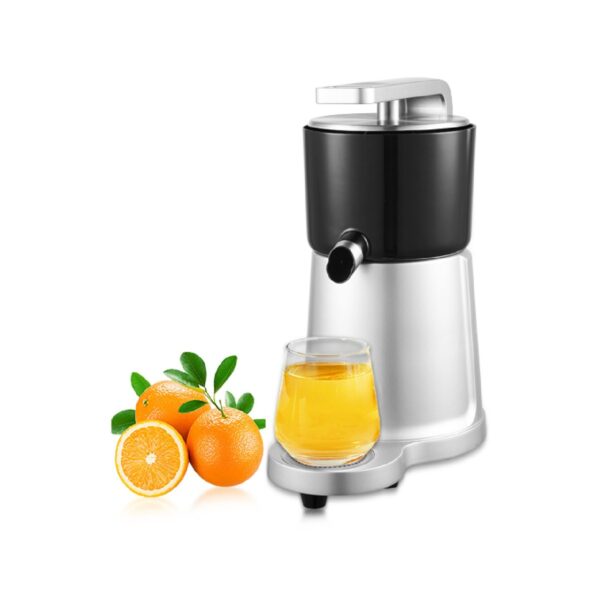 Professional electric juicer, 300 W