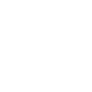 BORMIOLI ROCCO