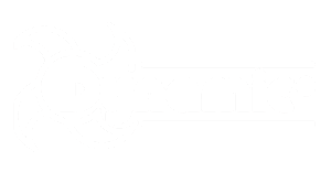 DYNAMIC